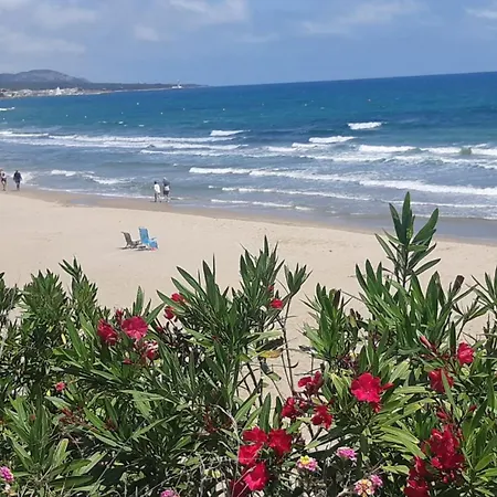 Playa Romana Apartmán *