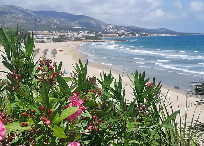Appartamento Playa Romana Alcossebre