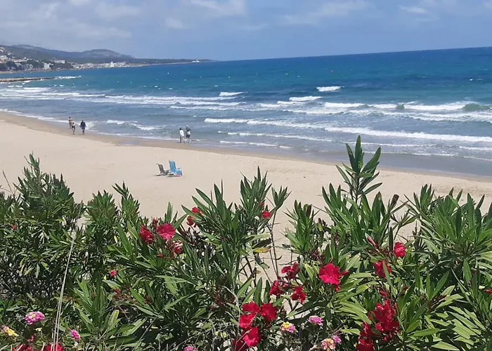 Playa Romana Appartamento *